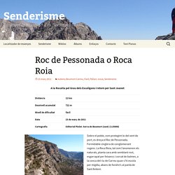Roc de Pessonada o Roca Roia