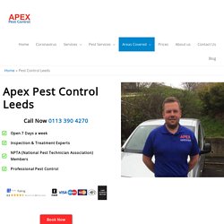 Fast Affordable Pest Control in Your Area