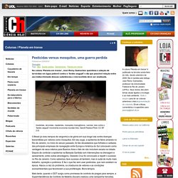 Pesticidas versus mosquitos, uma guerra perdida