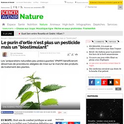 Le purin d’ortie n'est plus un pesticide mais un "biostimulant"
