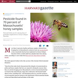 HARVARD GAZETTE - JUILLET 2015 - Pesticide found in 70 percent of Massachusetts’ honey samples