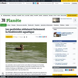 Les pesticides réduisent fortement la biodiversité aquatique