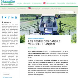 Les pesticides dans le vignoble Francçais