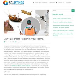 Don’t Let Pests Fester In Your Home.