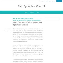 Get Rid of Pests of all Stripes via Safe Spray Pest Control – Safe Spray Pest Control