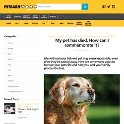 My pet has died. How can I commemorate it? - PetSpot
