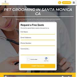 Pet Grooming In Santa Monica