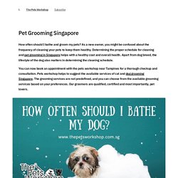 Pet Grooming Singapore