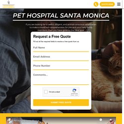 Pet Hospital Santa Monica