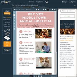 Pet Vet Middletown - Animal hospital