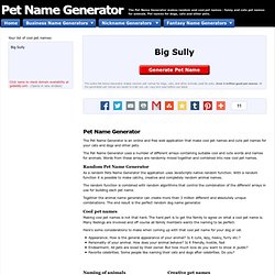 Pet Name Generator