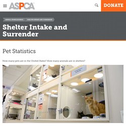 Pet Statistics