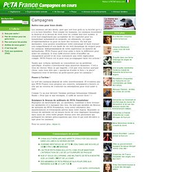PETA France >> Campagnes