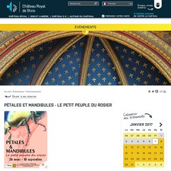 Pétales et mandibules - Le petit peuple du rosier - Château Royal de Blois