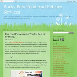 Dog Food For Allergies: What Is Best for Your Dog?