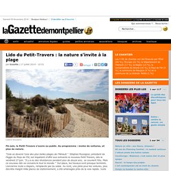 Lido du Petit-Travers : la nature s’invite à la plage