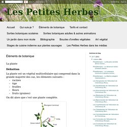 Eléments de botanique