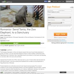 Romania- Send Tania, the Zoo Elephant, to a Sanctuary