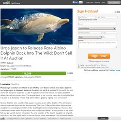 Urge Japan to Release Rare Albino Dolphin Back Into The Wild; Don't Sell It At Auction