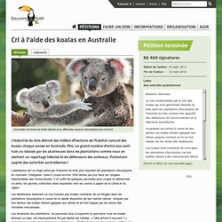 Cri à l'aide des koalas en Australie
