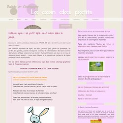 Chanson cycle 1: Un petit lapin s'est sauvé dans le jardin...