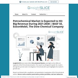 Petrochemical Market is Expected to Hit Big Revenue During 2021-2030