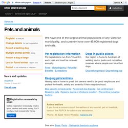 Pets and animals