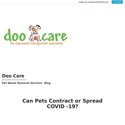 Can Pets Contract or Spread COVID -19? – Doo Care