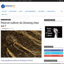 Peut-on cultiver du Ginseng chez soi ?