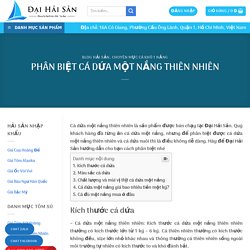 PHÂN BIỆT CÁ DỨA MỘT NẮNG THIÊN NHIÊN ⋆ Đại Hải Sản