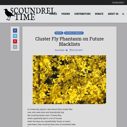 Cluster Fly Phantasm on Future Blacklists