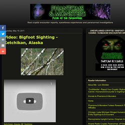 Paranormal, UFOs, Cryptids and Unexplained Phenomena