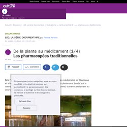 De la plante au médicament (1/4) : Les pharmacopées traditionnelles