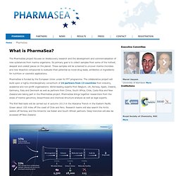 PharmaSea