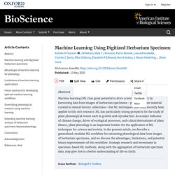 Machine Learning Using Digitized Herbarium Specimens to Advance Phenological Research