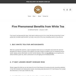 Five phenomenal benefits from white tea – Ministry of Tea