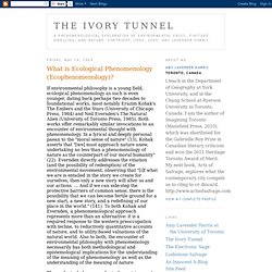 The Ivory Tunnel: What is Ecological Phenomenology (Ecophenomenology)?
