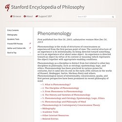 Phenomenology