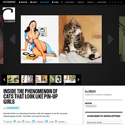 Inside The Phenomenon Of Cats That Look Like Pin-Up Girls