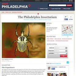 The Philadelphia Insectarium Philadelphia