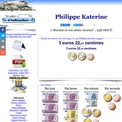 Salaire Philippe Katerine : 256 000,00 euros mensuels - Argent Salaire