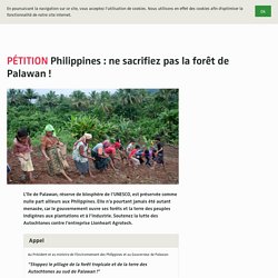 Philippines : ne sacrifiez pas la forêt de Palawan !