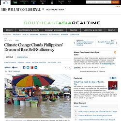 Climate Change Clouds Philippines’ Dream of Rice Self-Sufficiency - Southeast Asia Real Time