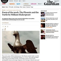 Poem of the week: The Phoenix and the Turtle by William Shakespeare