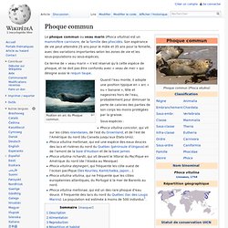 Phoque commun - Wikipédia-Mozilla Firefox