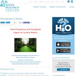 Phosphate in Water