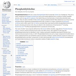 Phosphatidylcholine