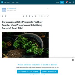 Curious About Why Phosphate Fertiliser Supplier Uses Phosphorous Solubilising Bacteria? Read This!: ext_5769596 — LiveJournal