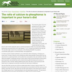 The ratio of calcium to phosphorus is important in your horse’s diet - Kentucky Performance Products