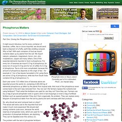 Phosphorus Matters Permaculture Research Institute